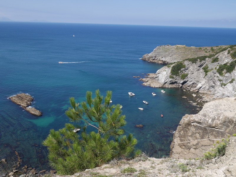 Askibilla kala