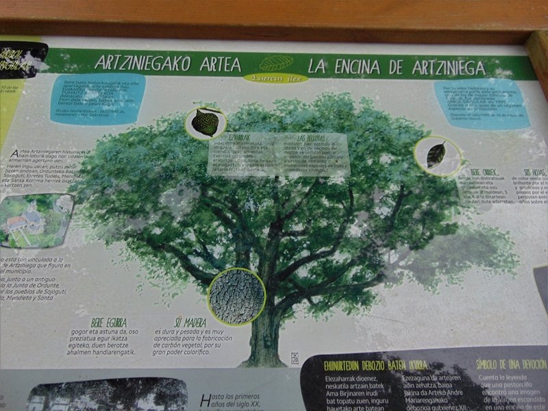 Artziniegako Artea