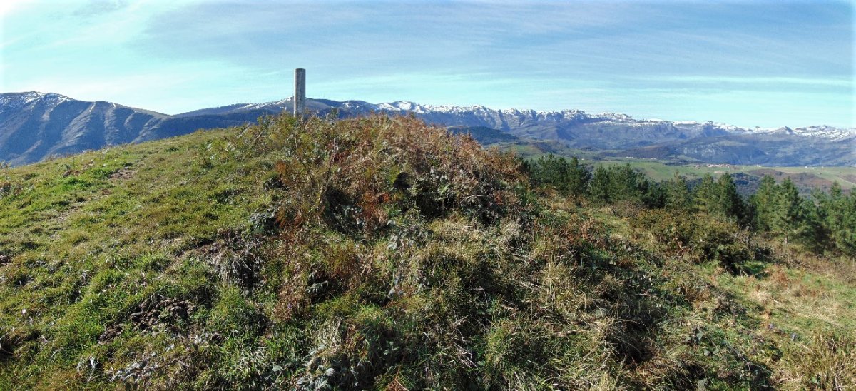 Tontorra