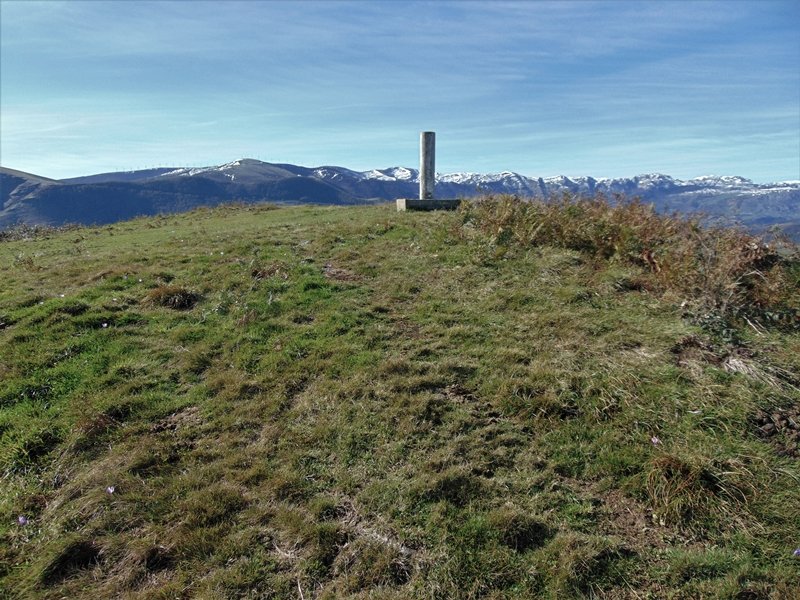 Tontorra