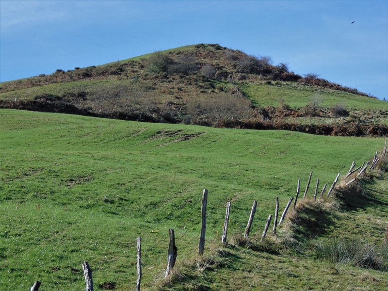 Cotobasero