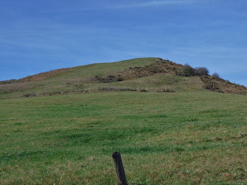 Cotobasero