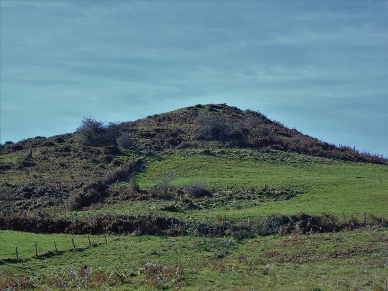 Cotobasero