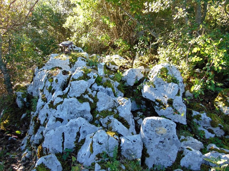 Tontorra