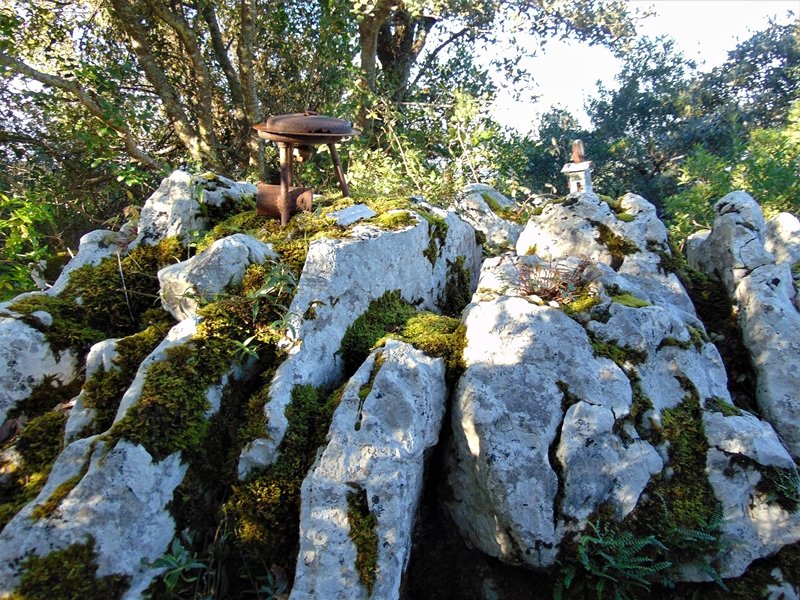 Tontorra