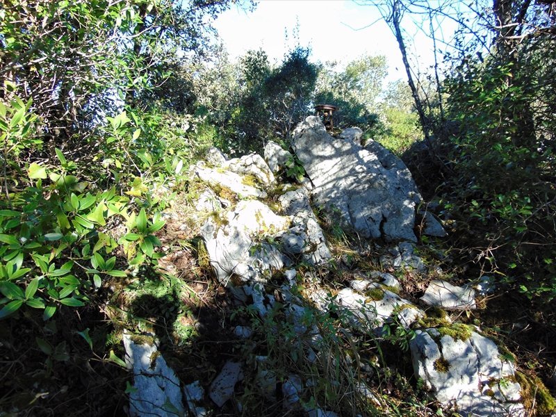 Tontorra