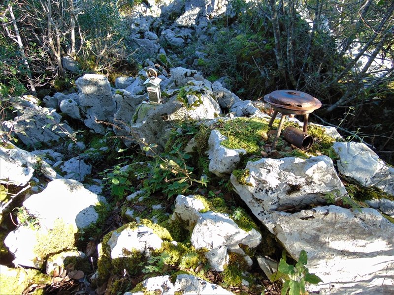 Tontorra
