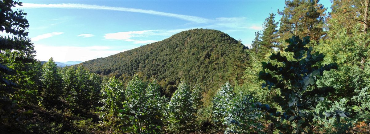 Burretxagana