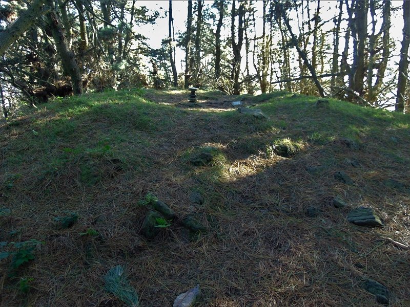 Tontorra