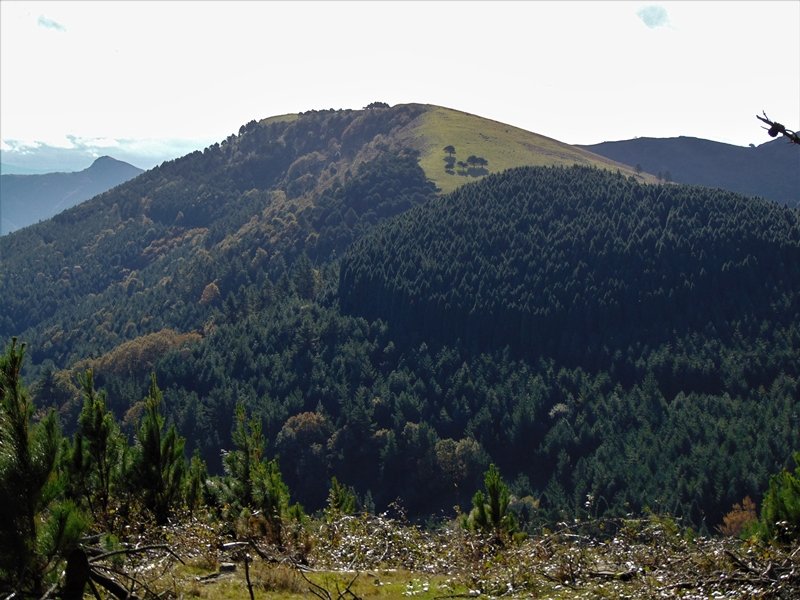 Pico Mayorretik