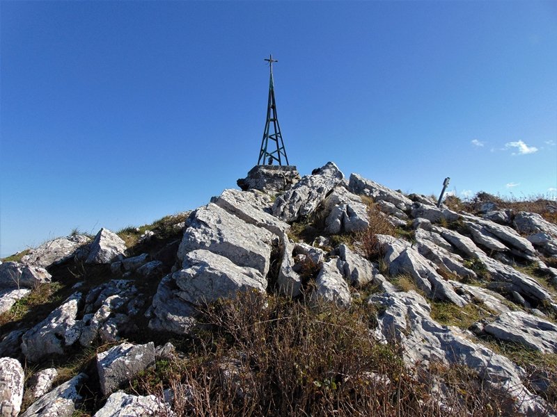 Tontorra