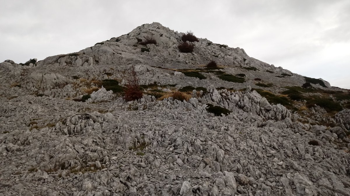Imeleku (1319m)