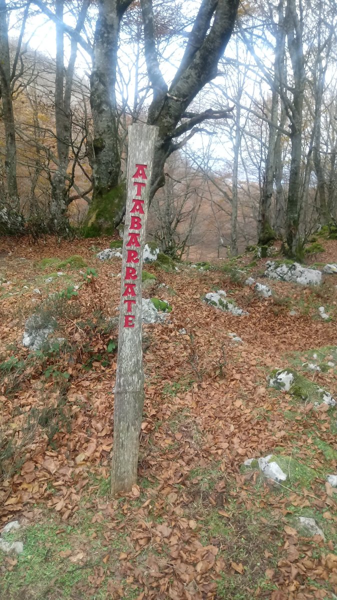 Atabarrateko Lepoa