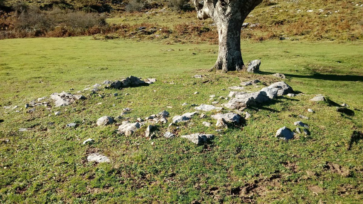 Zaingo Ordeka trikuharria 3