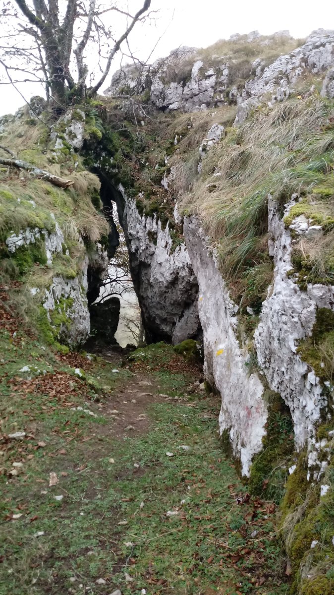 Aiznardako pasabidea