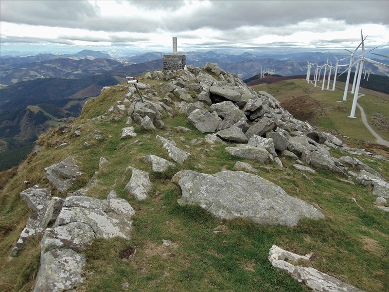 Tontorra