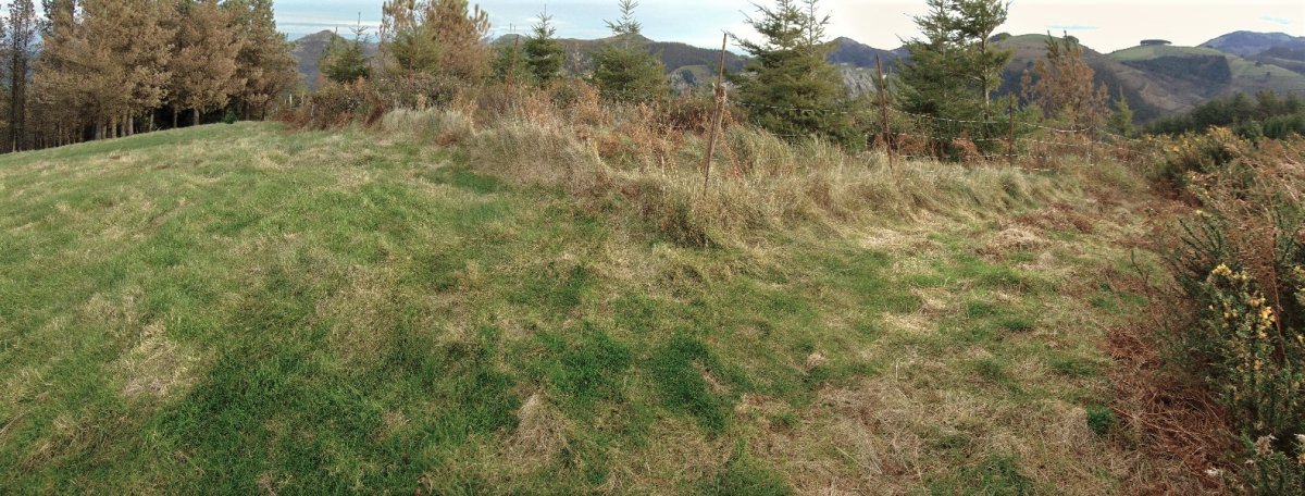 Tontorra