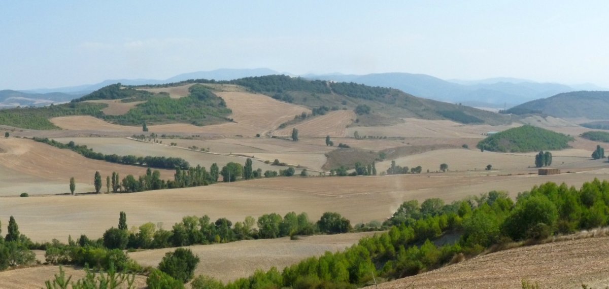 Argonga hegoaldetik