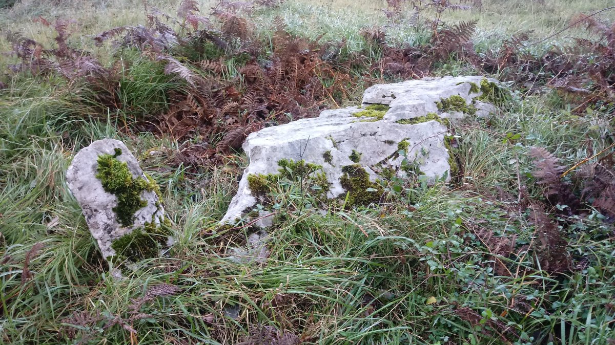 Urritza trikuharria 3