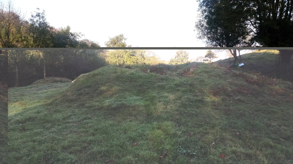 Larrondo trikuharria 2