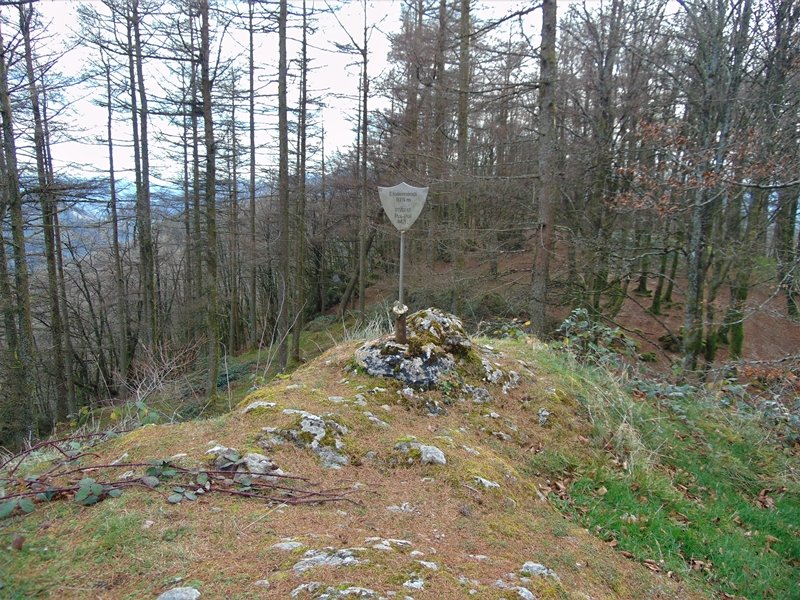 Tontorra