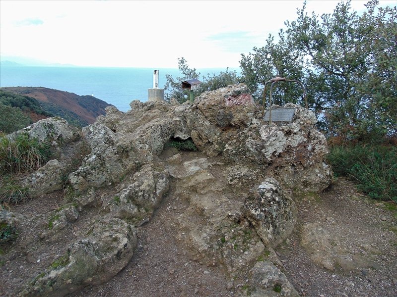 Tontorra