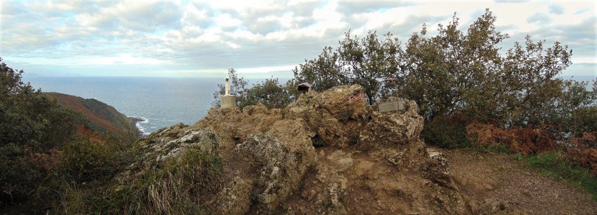 Tontorra