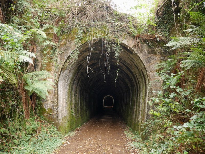 Tunelak