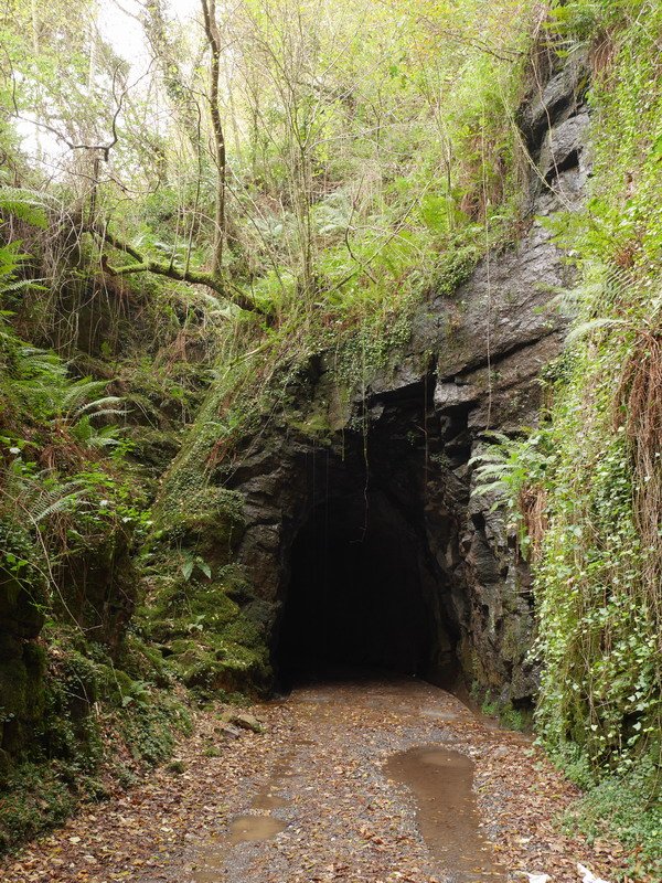 Tunelak