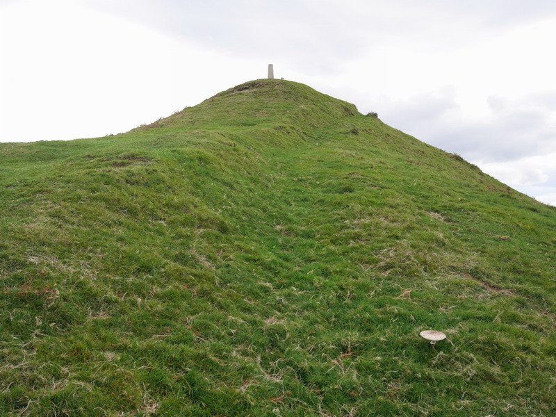 Tontorra