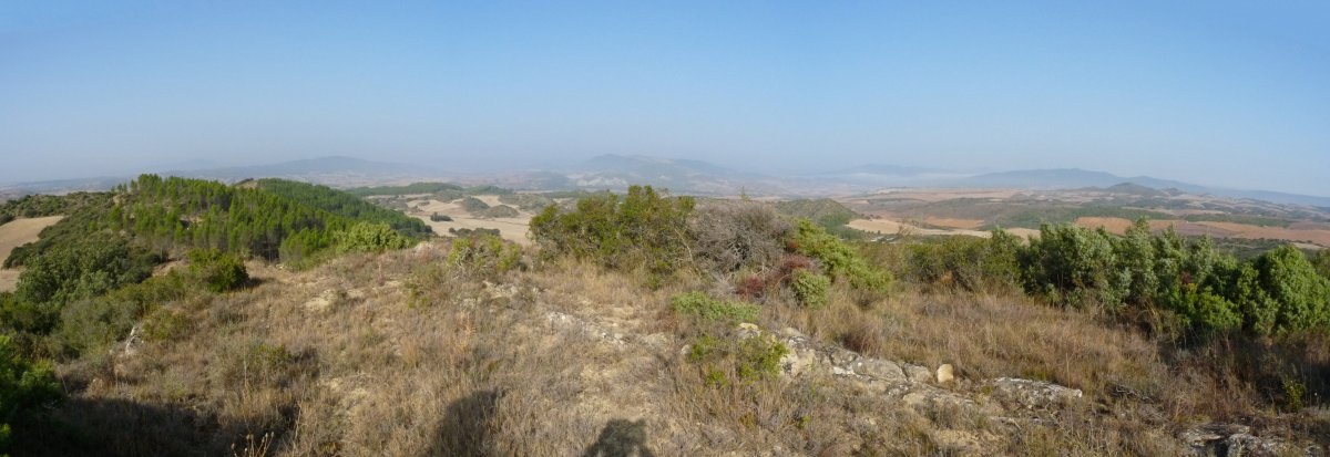 Gainaldea