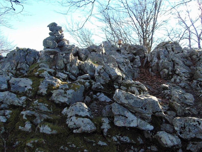 Tontorra