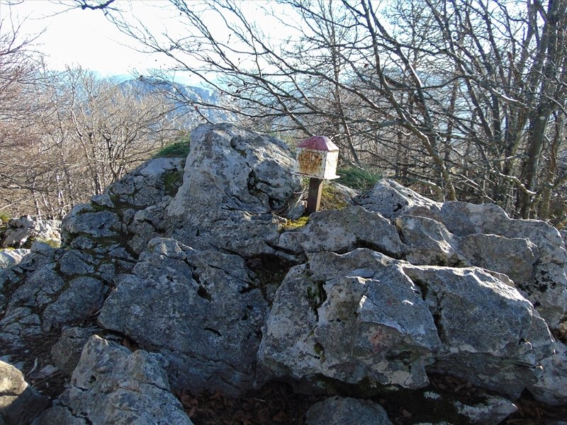 Tontorra