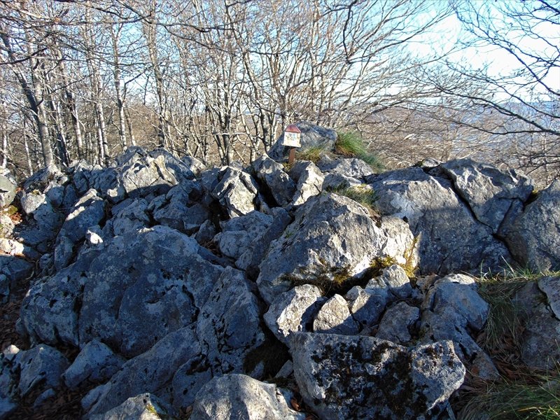 Tontorra