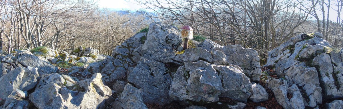 Tontorra