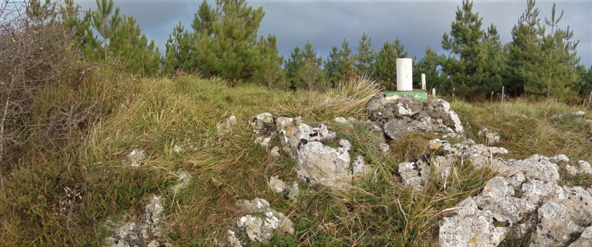 Tontorra
