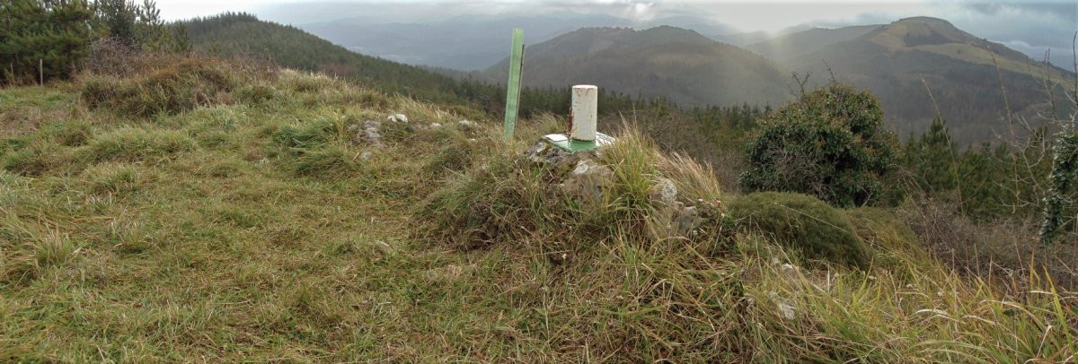 Tontorra
