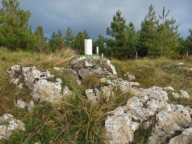 Tontorra
