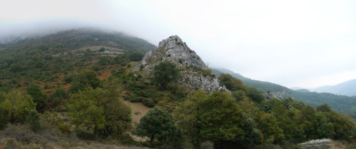 Allegain