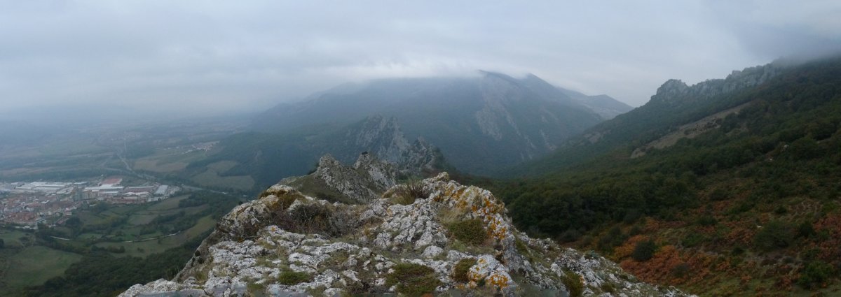 Allegaingo gailurra