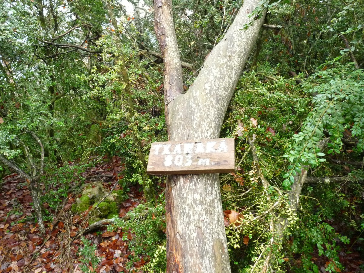 Txaraka