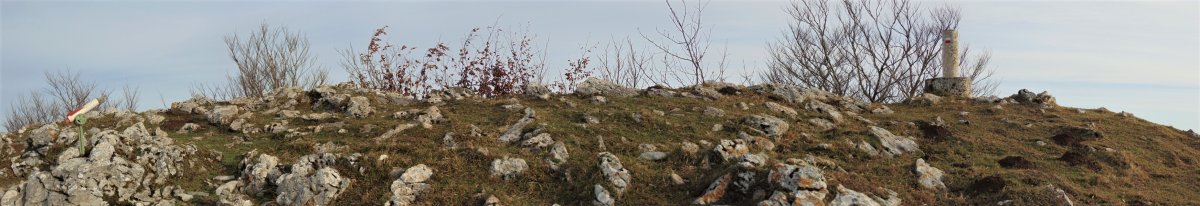 Tontorra