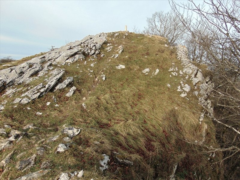 Tontorra
