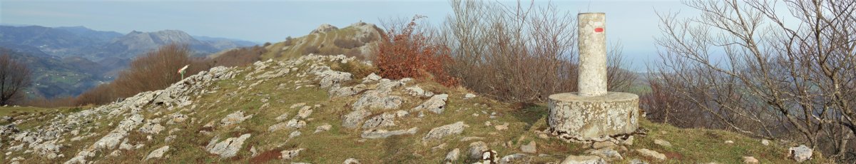 Tontorra