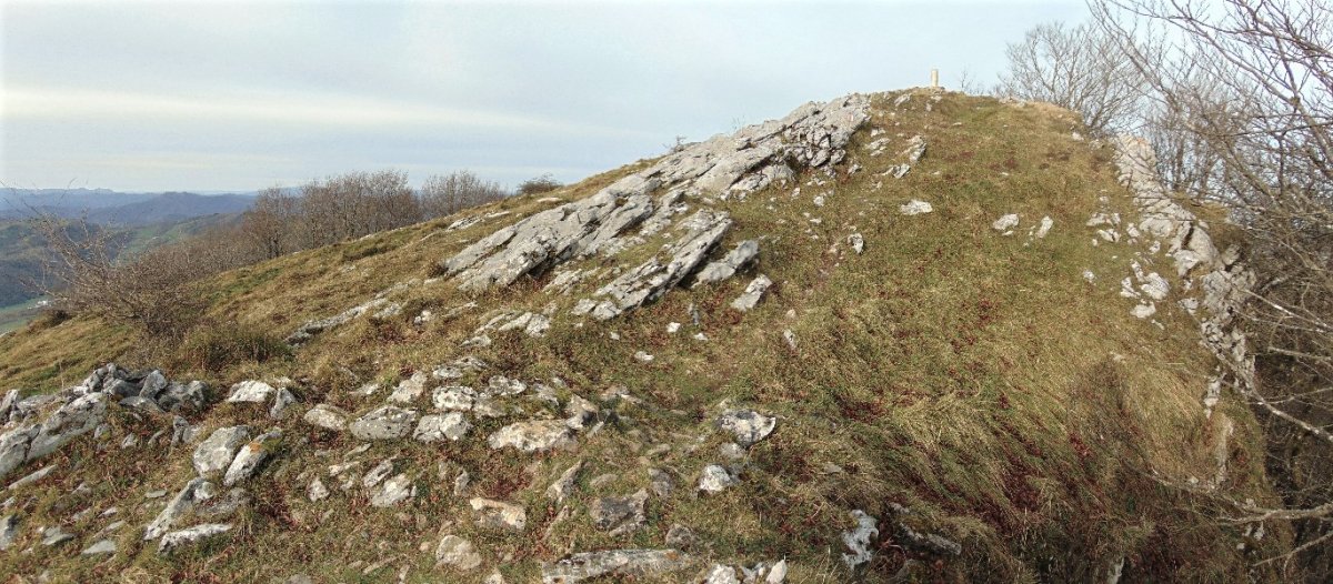 Tontorra