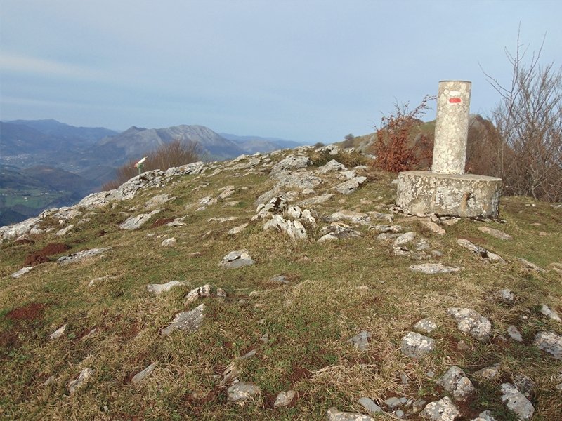Tontorra