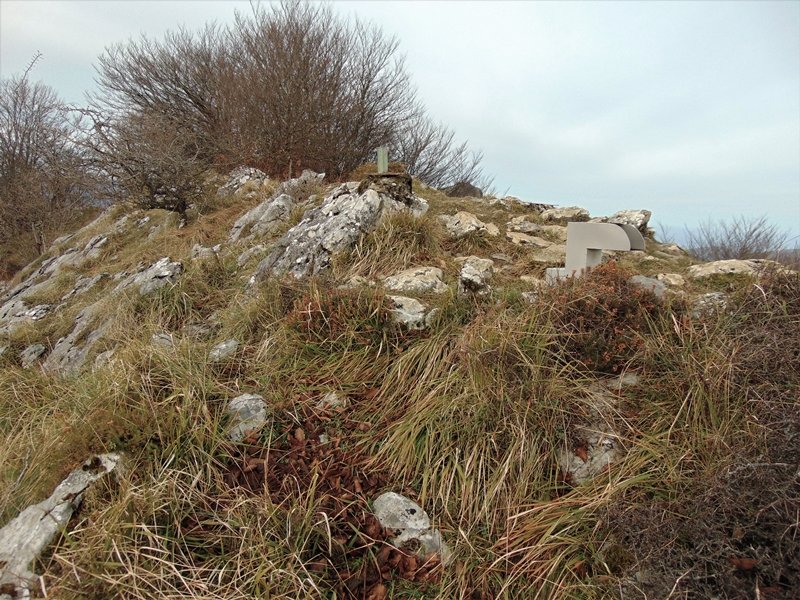 Tontorra