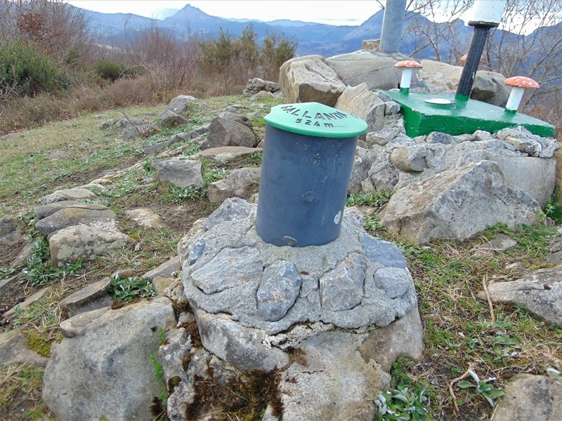 Buzoia
