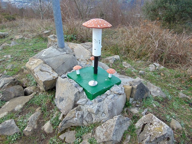 Buzoia