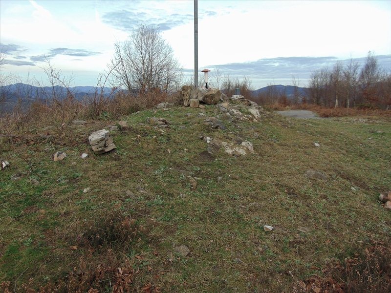 Tontorra